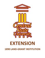 Central State University Virtual Workshop Series - The Best You in 2022!